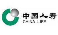 中国人寿保险(集团)公司